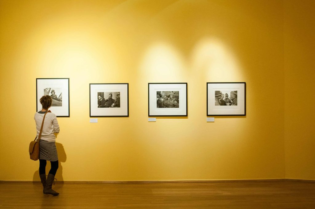 Art Exhibitions