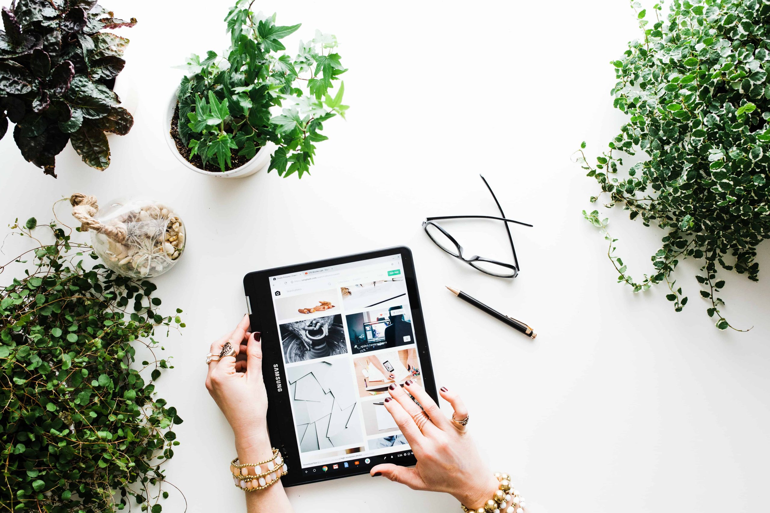 plants and a laptop