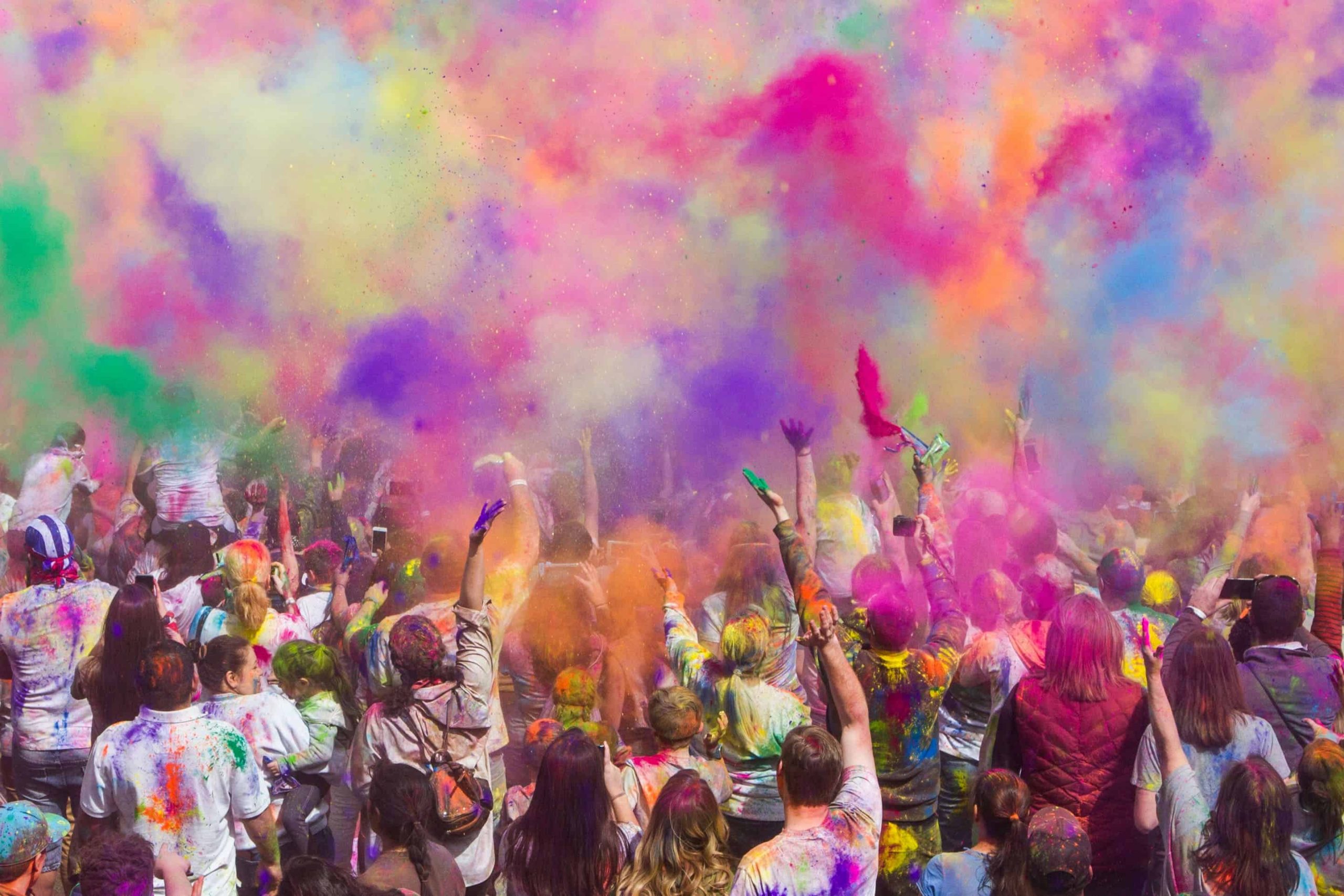Art Festivals