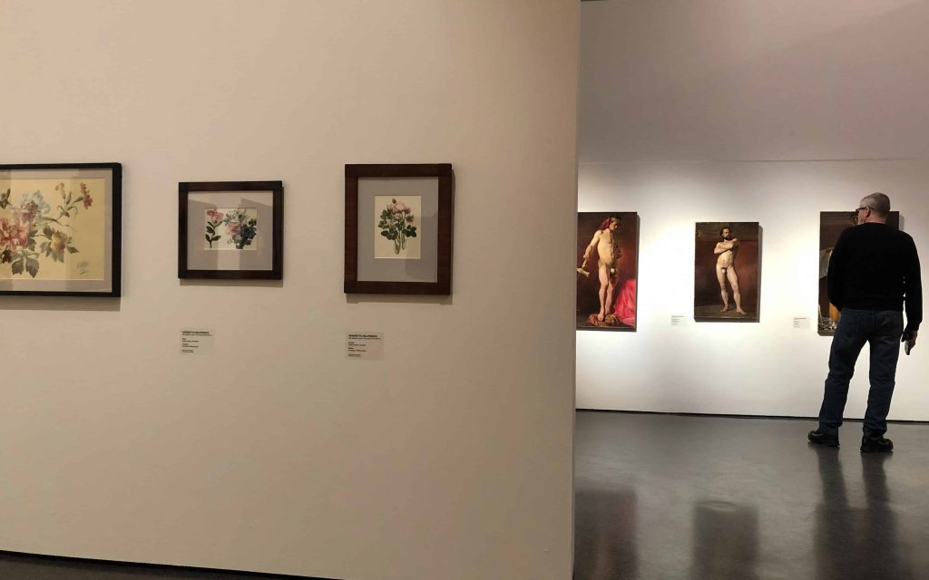 Art Collection